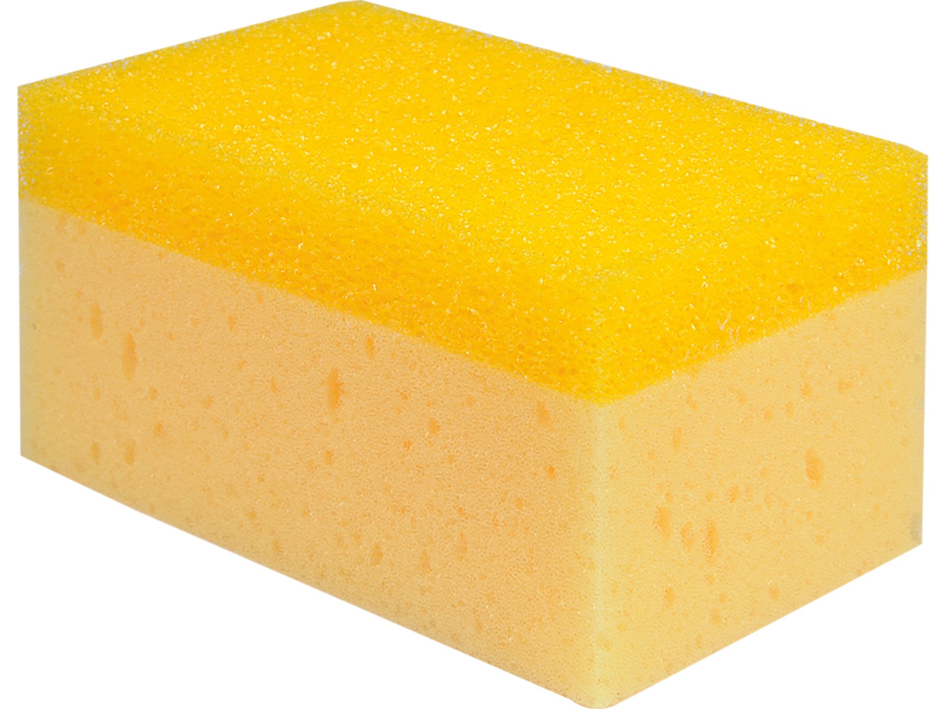Flīžu sūklis