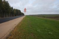 Zāliena sēklas Apzaļumotājs — profesionāls maisījums